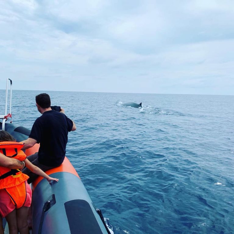 69503601 2964349346914502 4097984341865398272 n 768x768