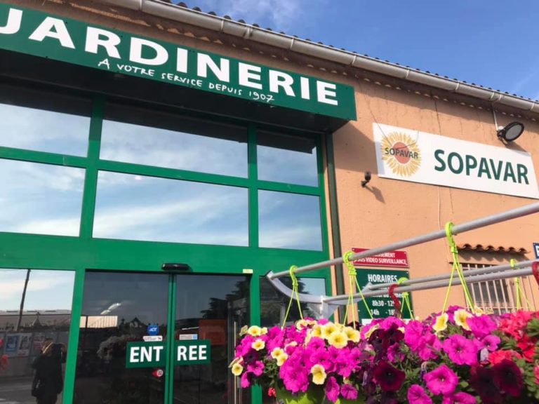 61270014 1308942795923620 4054174597409406976 n 768x576