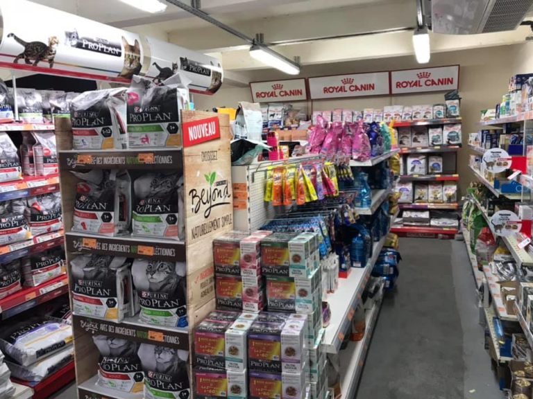 67891404 1369777529840146 6502283811278028800 n 768x576