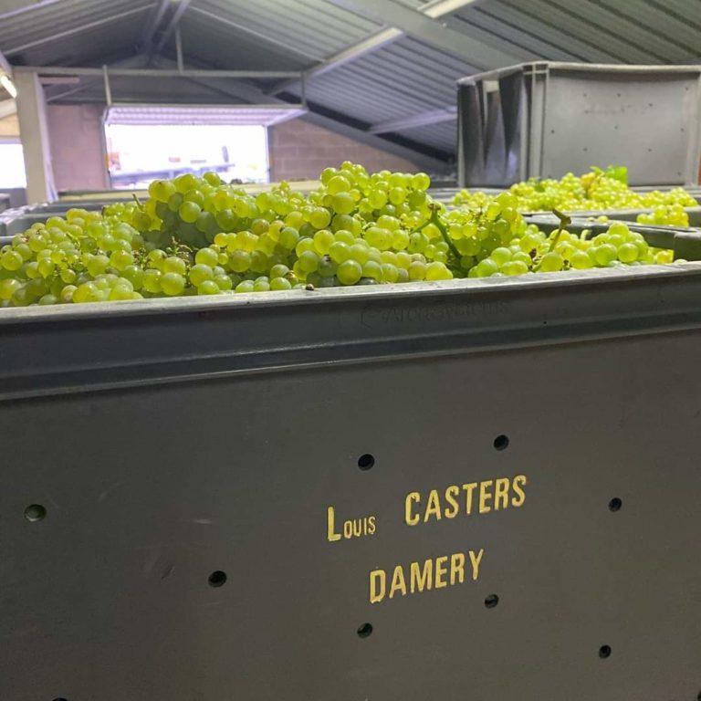 FB IMG 1599228532555 768x768