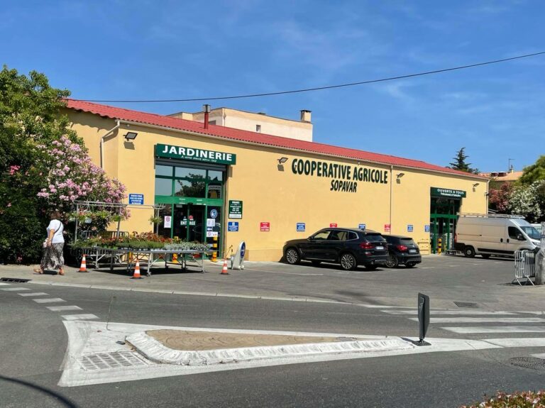 221272690 1449343095426033 5188500065059680848 n 768x575