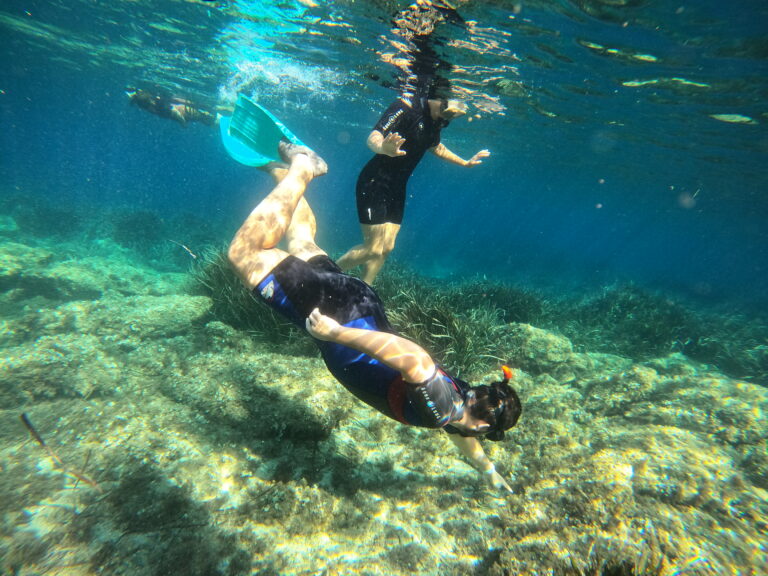 03D3704B 2D2D 4794 B9DD 5EA9ADD83080 768x576