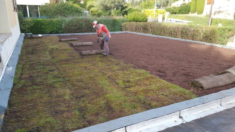 Resized 20161123 145039 768x432