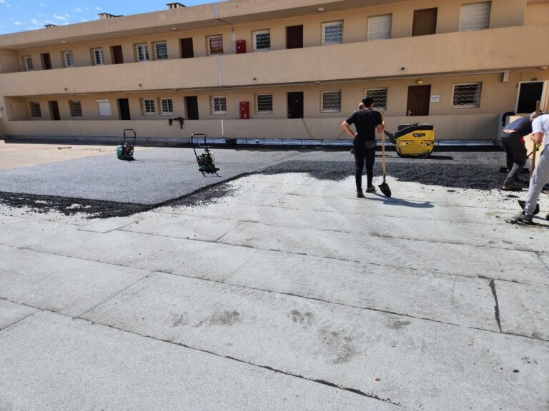 Resized 20230418 121013 768x576