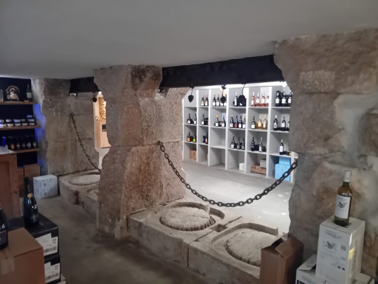 20240104 155957 768x576