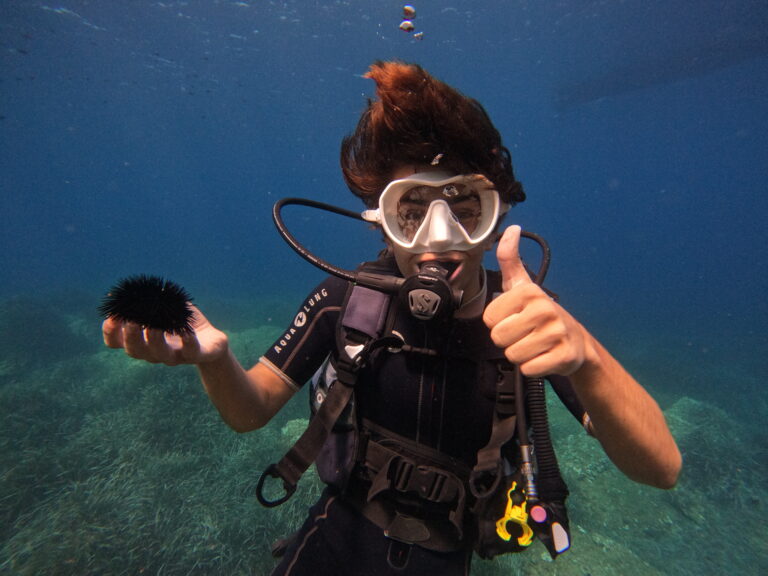 GPTempDownload 15 768x576