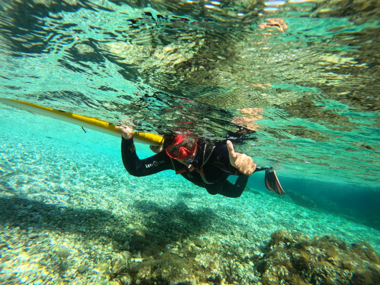 GPTempDownload 19 768x576