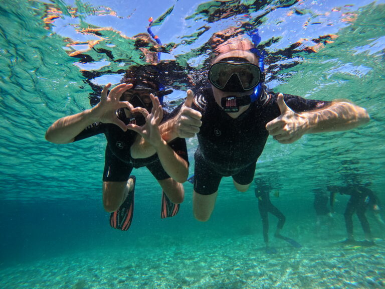 GPTempDownload 2 768x576