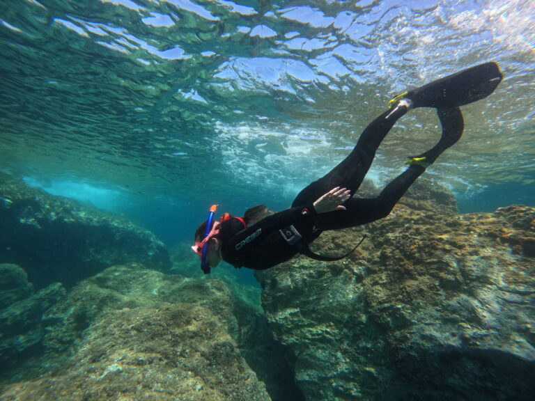 GPTempDownload 25 768x576