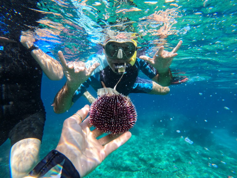 GPTempDownload 27 768x576