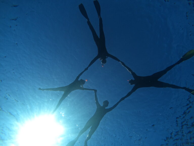 GPTempDownload 3 768x576