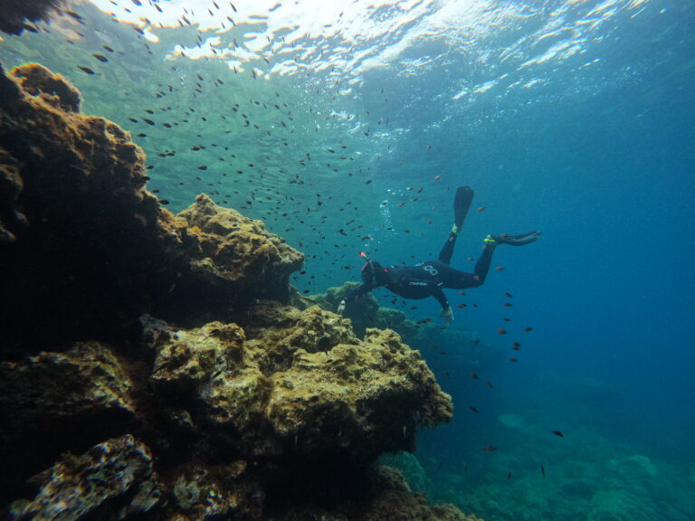 GPTempDownload 30 768x576