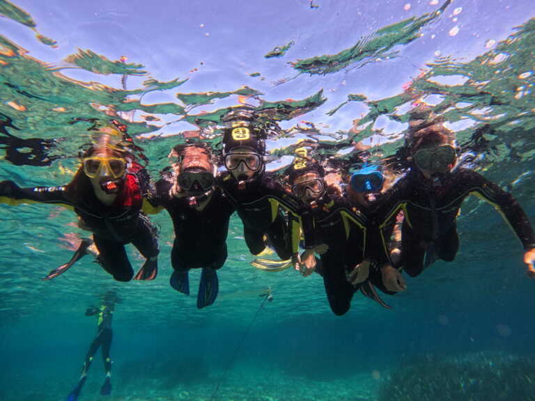 GPTempDownload 31 768x576