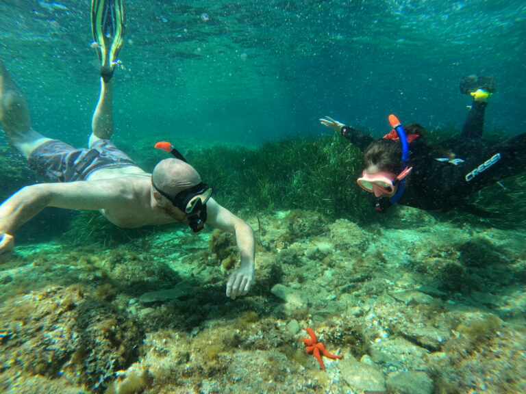 GPTempDownload 37 768x576