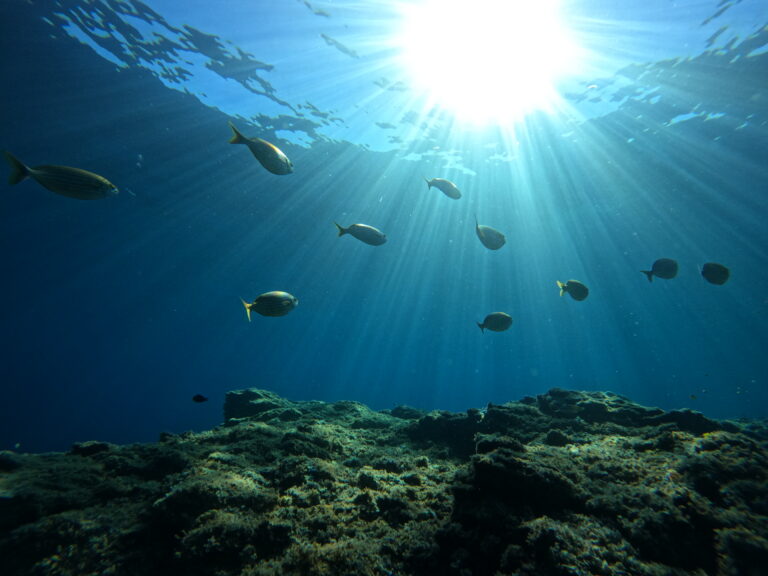 GPTempDownload 6 768x576