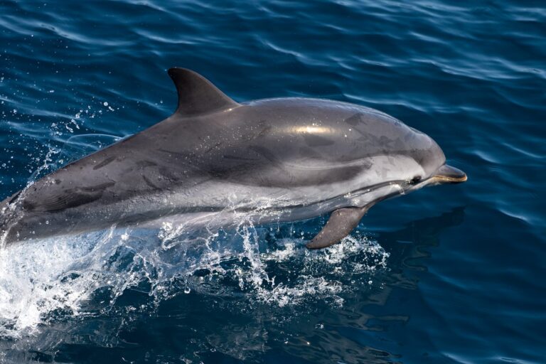 IMG 20230927 WA0014 768x512