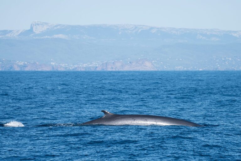 IMG 20230927 WA0018 768x512