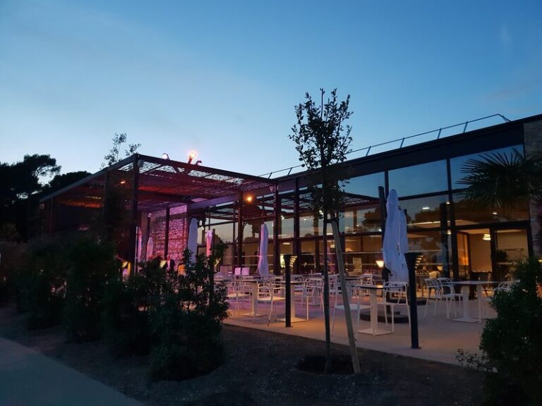 casino de jeux vikings casinos 8055913 large 768x576