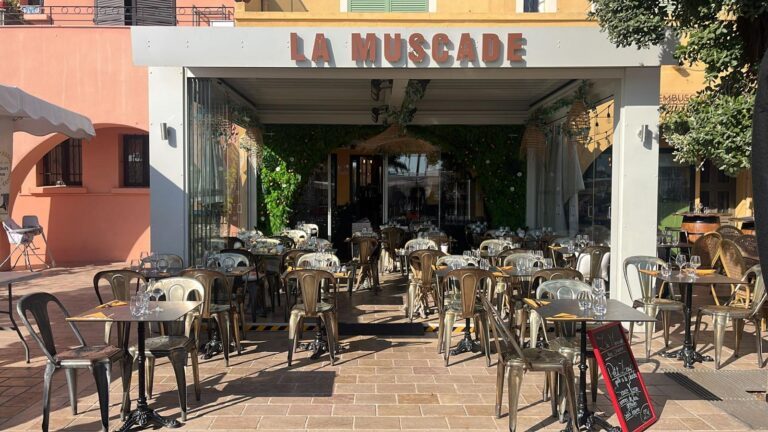 WhatsApp Image 2025 03 09 a 20.46.22 fe5c81ca 768x432