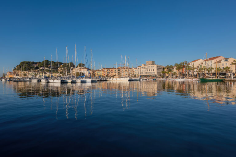 Daniel Pelcat photography 5 standard 768x512