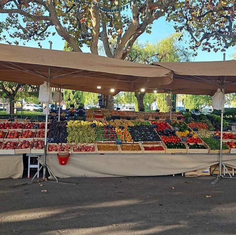 459268426 122128185596366263 5089155305061489651 n 768x766