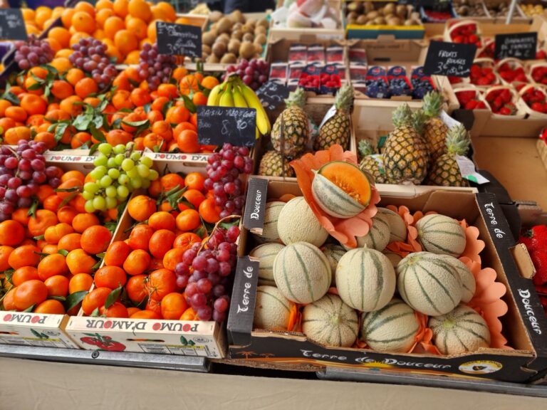 510403675 10237986503827034 629521702687616167 n 768x576