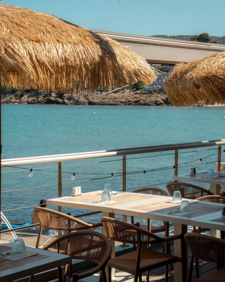 photo aricot 768x960